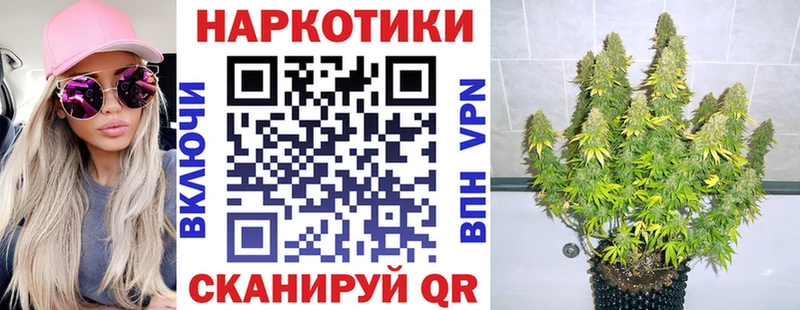  COCAIN Борзя